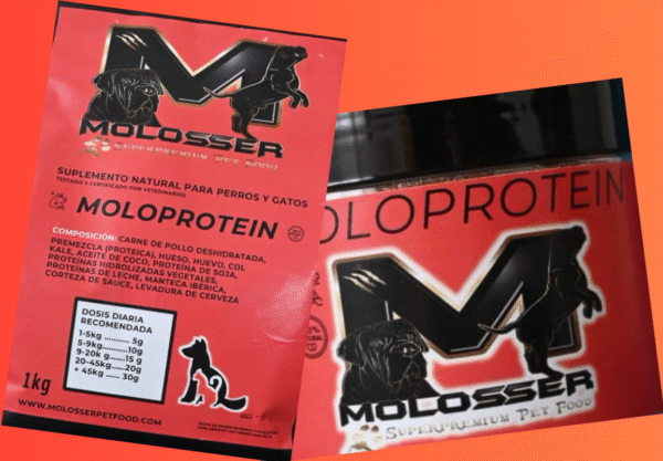 MOLOPROTEIN- SUPLEMENTO NATURAL PARA EL DESARROLLO MUSCULAR