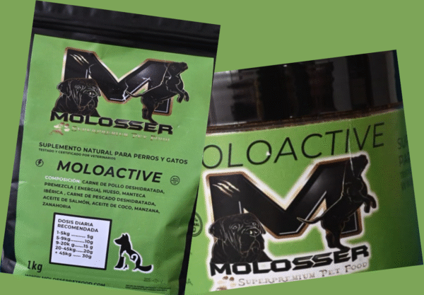 MOLOACTIVE - SUPLEMENTO NATURAL PARA APORTAR ENERGÍA EXTRA