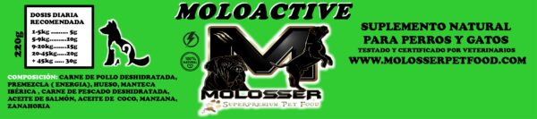 MOLOACTIVE - SUPLEMENTO NATURAL PARA APORTAR ENERGÍA EXTRA - Imagen 2