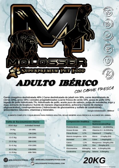 MOLOSSER ADULTO IBÉRICO - Imagen 2