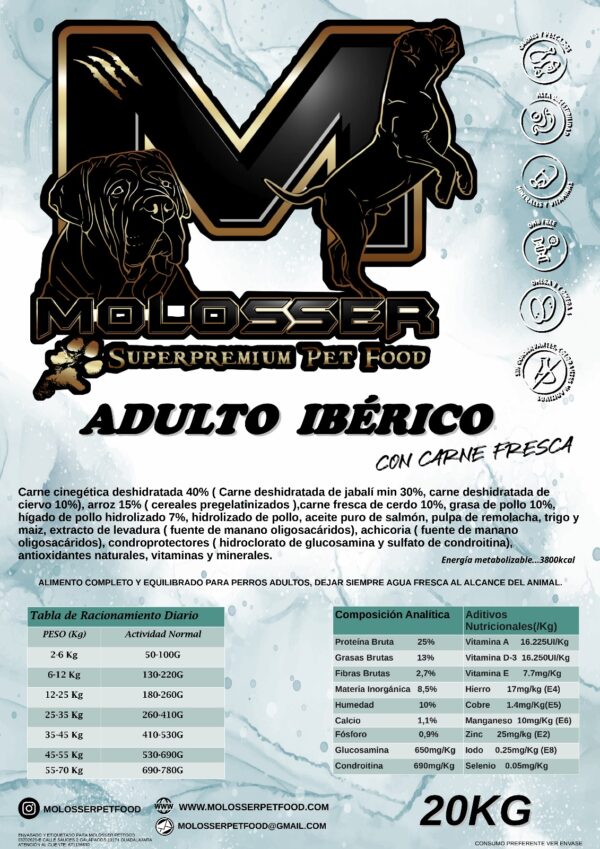 MOLOSSER ADULTO IBÉRICO - Imagen 2