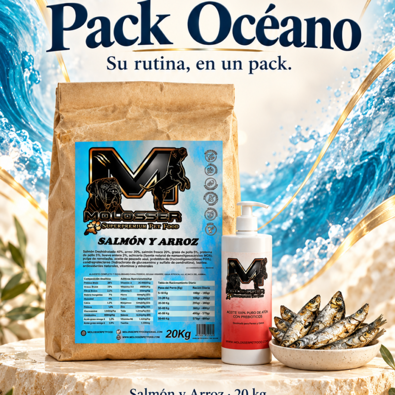 Pack Molosser Océano