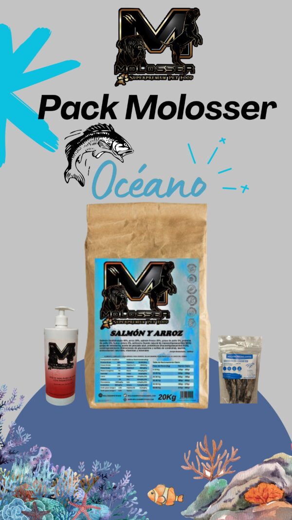 Pack Molosser Océano