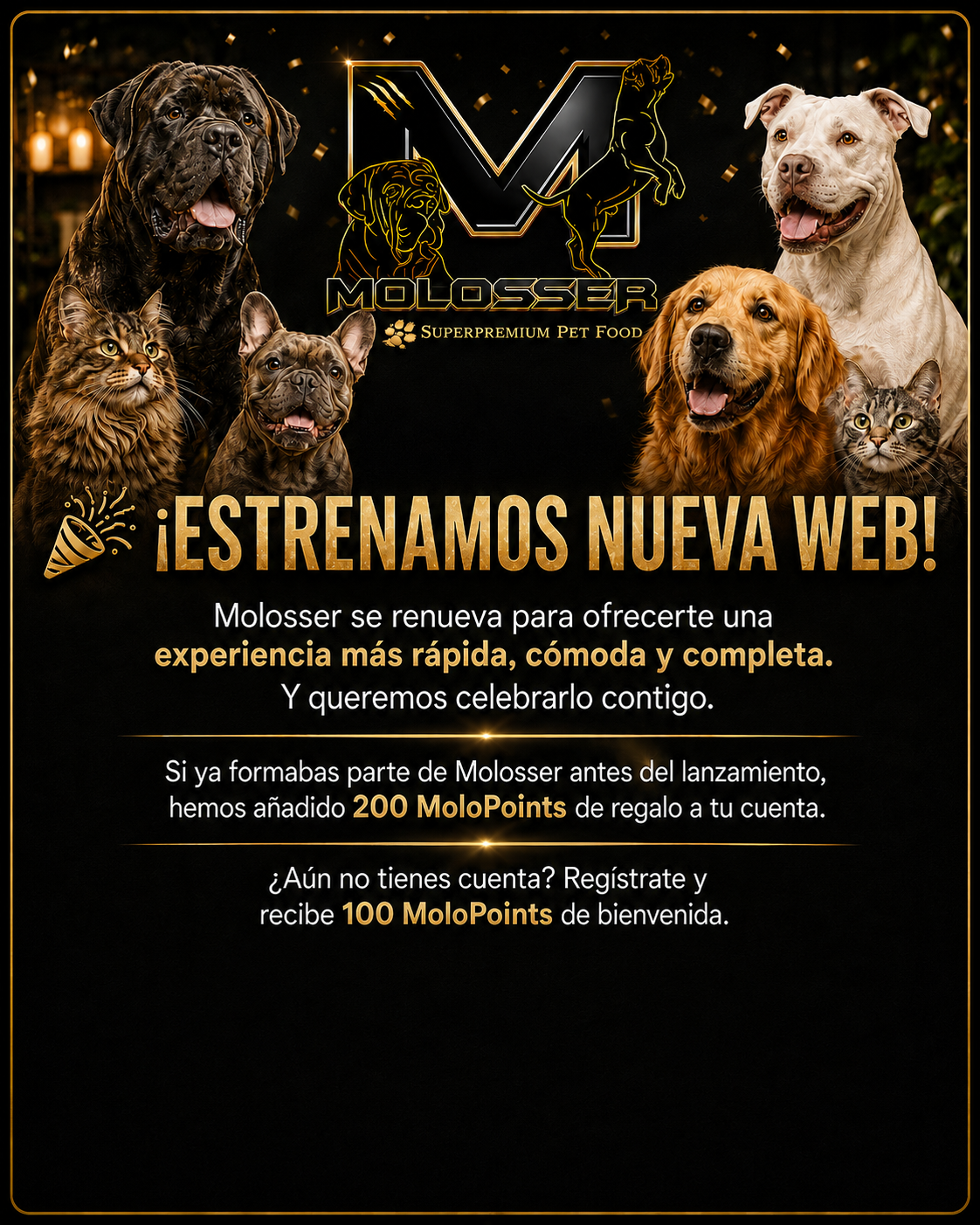Rediseño Web
