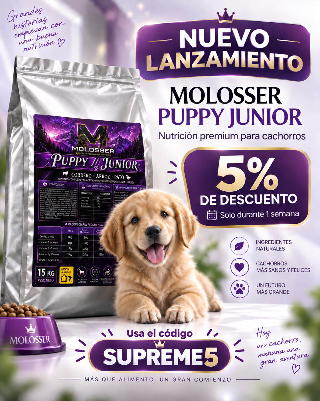 Lanzamiento puppy junior